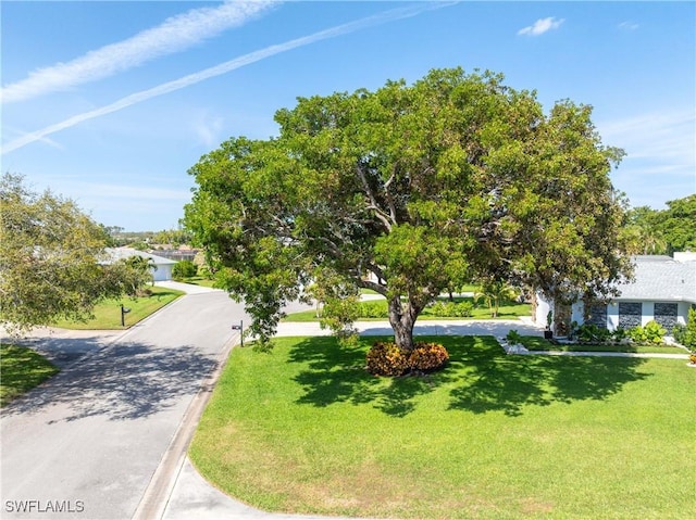 exterior space featuring a lawn