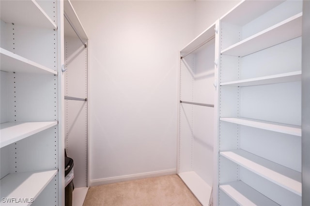 walk in closet with light carpet