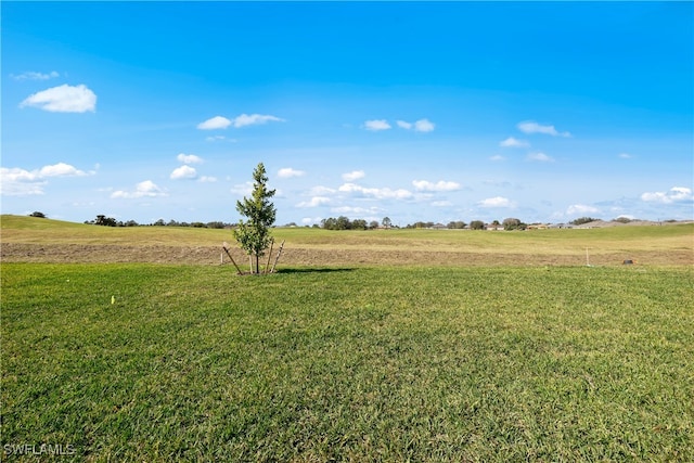 view of yard featuring a rural view