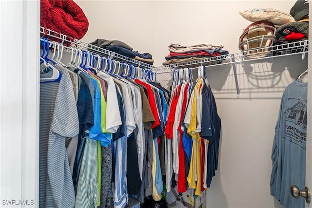 view of walk in closet