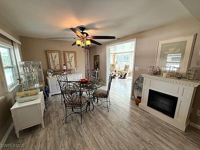 dining area with baseboards, a ceiling fan, a glass covered fireplace, wood finished floors, and a textured ceiling