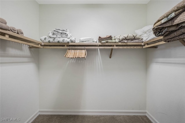 spacious closet with carpet flooring