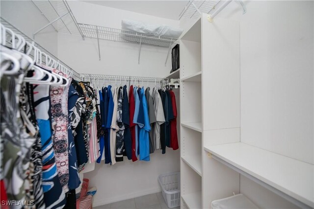 view of spacious closet