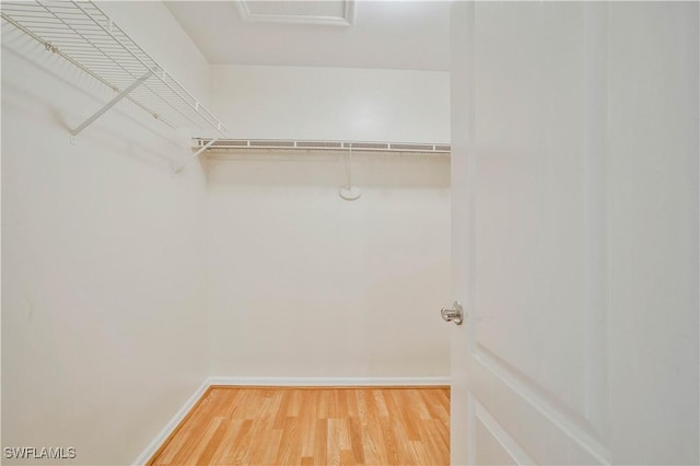 walk in closet with attic access and wood finished floors