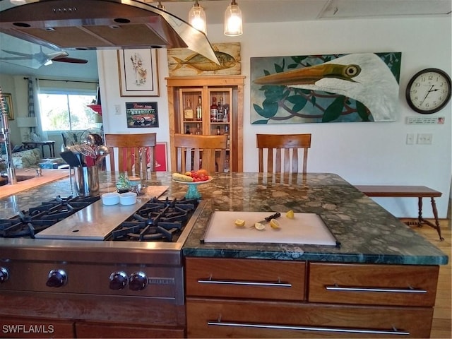 kitchen with stainless steel gas cooktop and under cabinet range hood