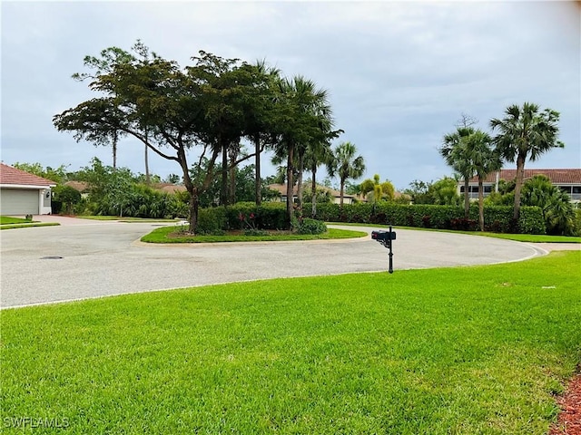 view of yard featuring driveway