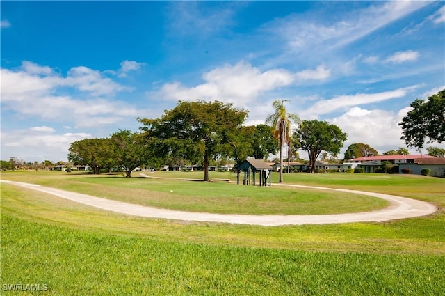 view of community with a lawn