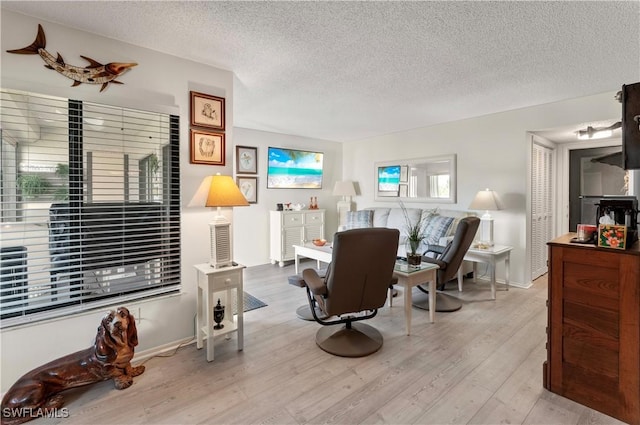 living room featuring a textured ceiling and light wood finished floors