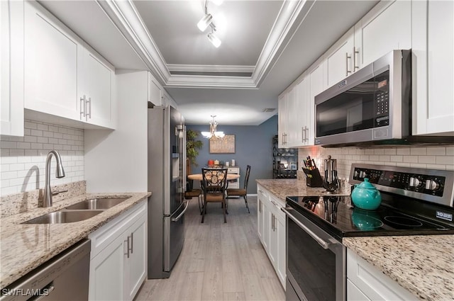 kitchen featuring a tray ceiling, appliances with stainless steel finishes, ornamental molding, a sink, and light wood-type flooring