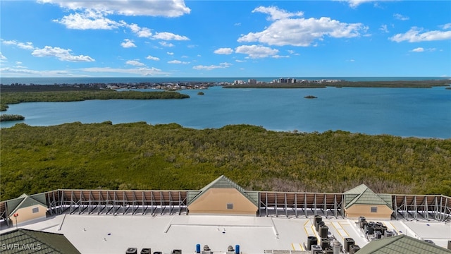 water view featuring a forest view