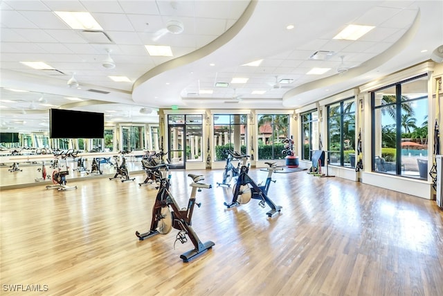 exercise room with visible vents, a paneled ceiling, wood finished floors, and a wealth of natural light