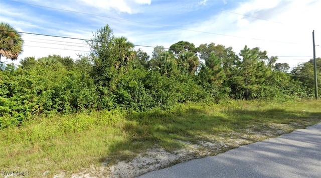 Listing photo 3 for 705/707 Ivan Ave S, Lehigh Acres FL 33973