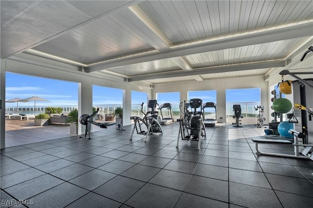 exercise room with plenty of natural light