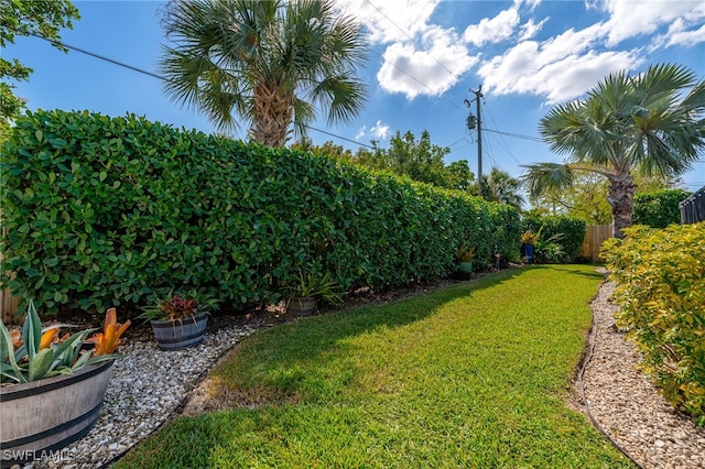 view of yard featuring a fenced backyard