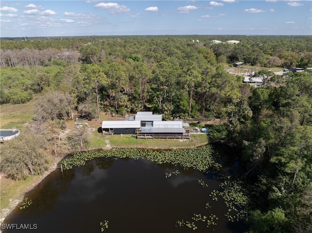 bird's eye view featuring a forest view and a water view