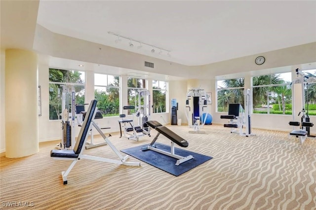 gym featuring carpet floors, track lighting, visible vents, and a healthy amount of sunlight