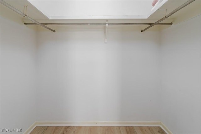 walk in closet featuring light wood-type flooring