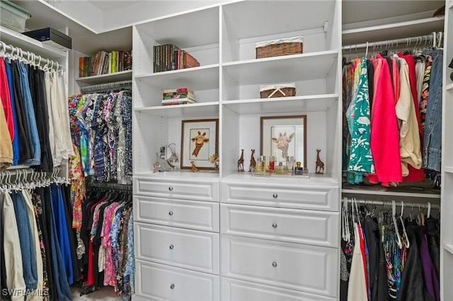 view of spacious closet