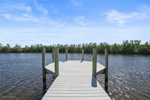 view of dock with a water view