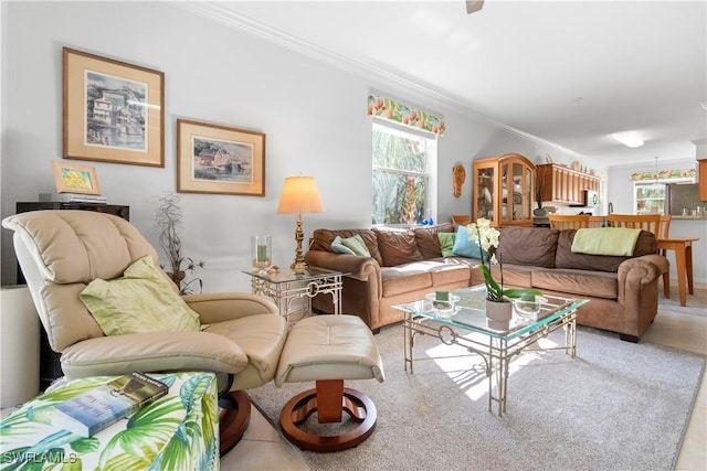 living room featuring ornamental molding