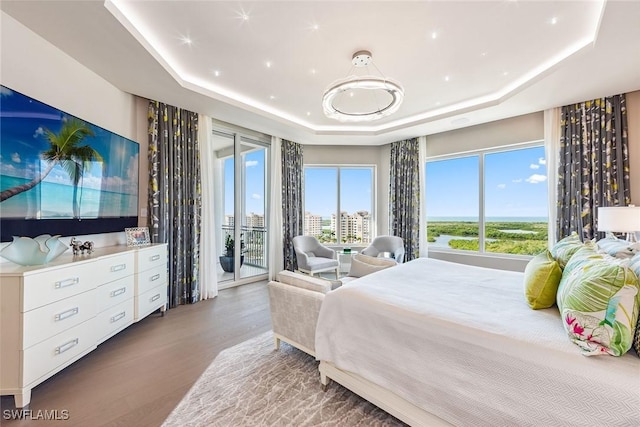 bedroom featuring access to exterior, a tray ceiling, and wood finished floors