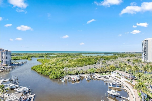 birds eye view of property featuring a water view