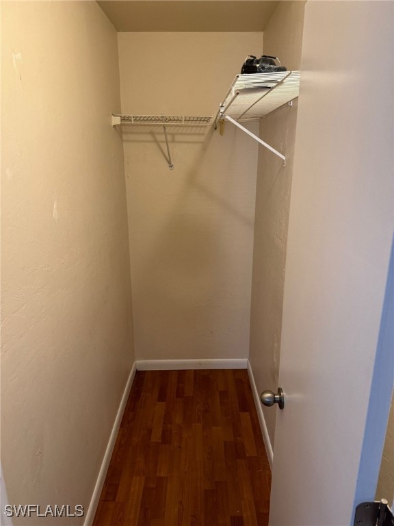 spacious closet featuring dark wood finished floors