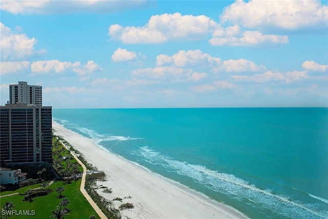 water view featuring a beach view