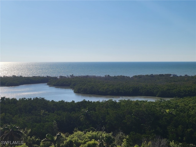 water view featuring a forest view