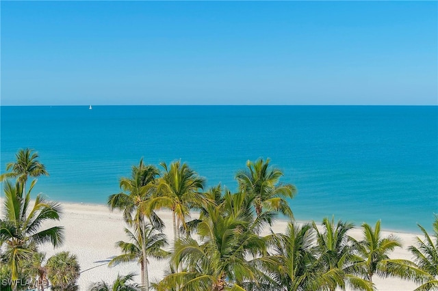 property view of water with a beach view