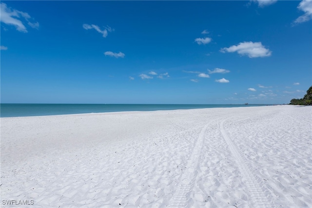 property view of water featuring a beach view