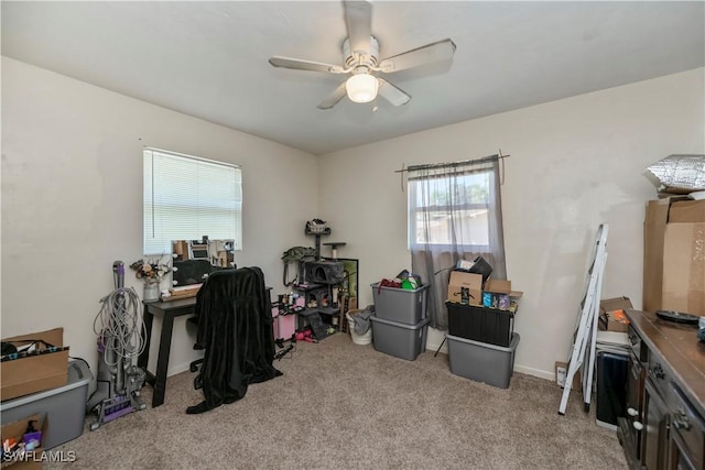 home office featuring carpet flooring and ceiling fan