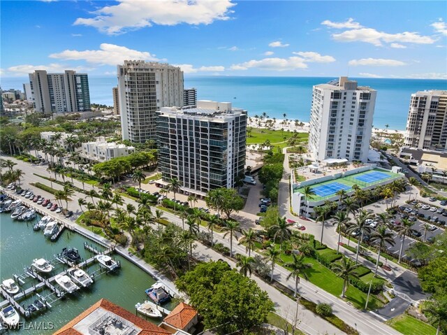 drone / aerial view with a view of city and a water view