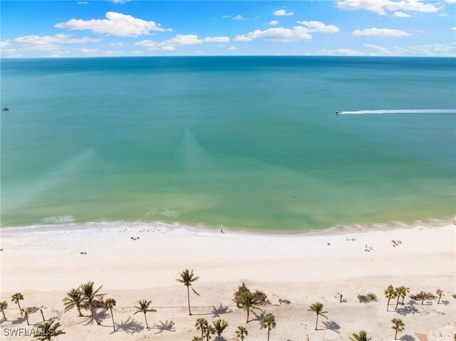 property view of water with a beach view