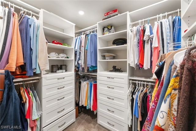 spacious closet with carpet flooring