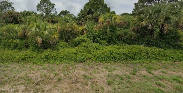 638 Ivanhoe Ave S, Lehigh Acres FL, 33974 land for sale