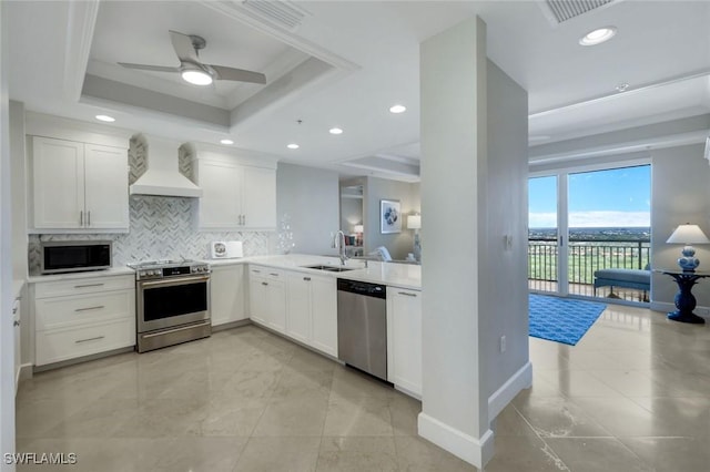 kitchen with a sink, appliances with stainless steel finishes, backsplash, a tray ceiling, and custom range hood