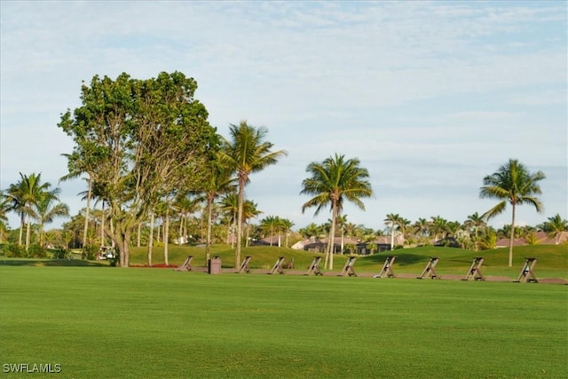 surrounding community featuring a yard