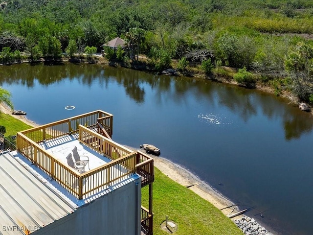 dock area with a water view