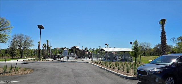 view of road with curbs