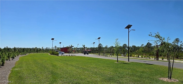 view of home's community with a lawn