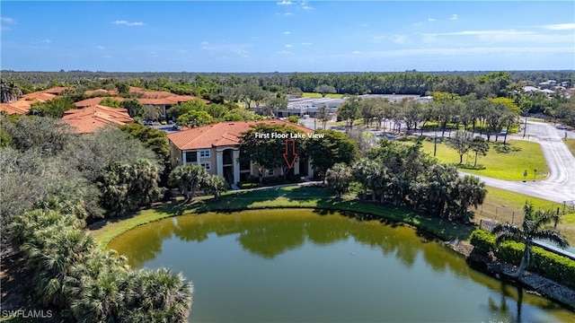 aerial view with a water view