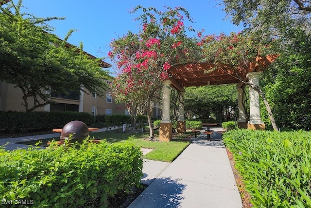 view of community featuring a pergola