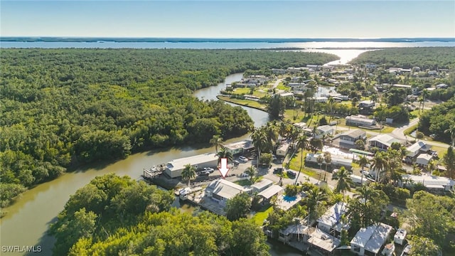 bird's eye view featuring a water view and a wooded view