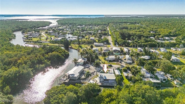 birds eye view of property with a residential view, a water view, and a forest view