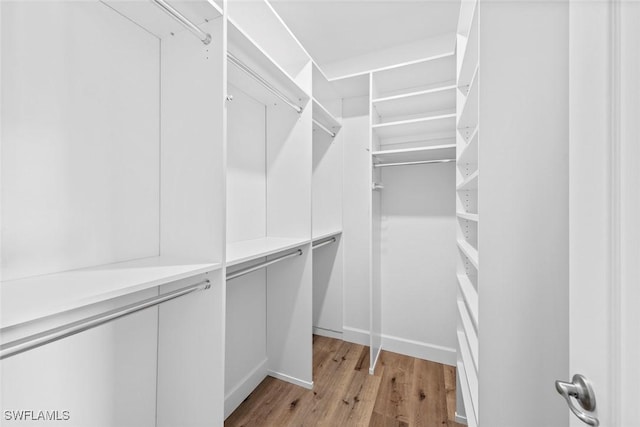 walk in closet with light wood finished floors