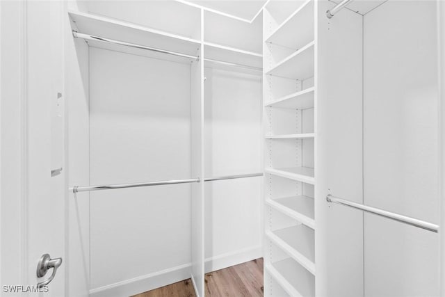 walk in closet featuring wood finished floors