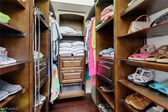 walk in closet featuring dark wood-style flooring