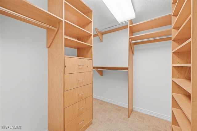 2619 Wulfert Rd Unit 6, Sanibel, FL 33957 - walk in closet with light carpet