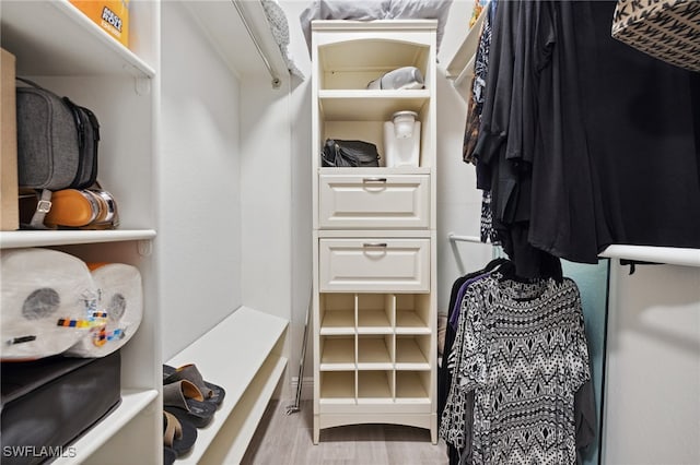 walk in closet featuring light wood finished floors